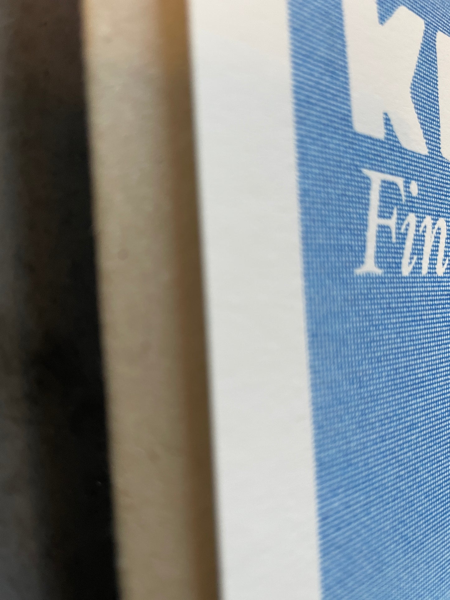 Kalsarikännit (Blue) — Riso Print (1/1 Rare Edition)