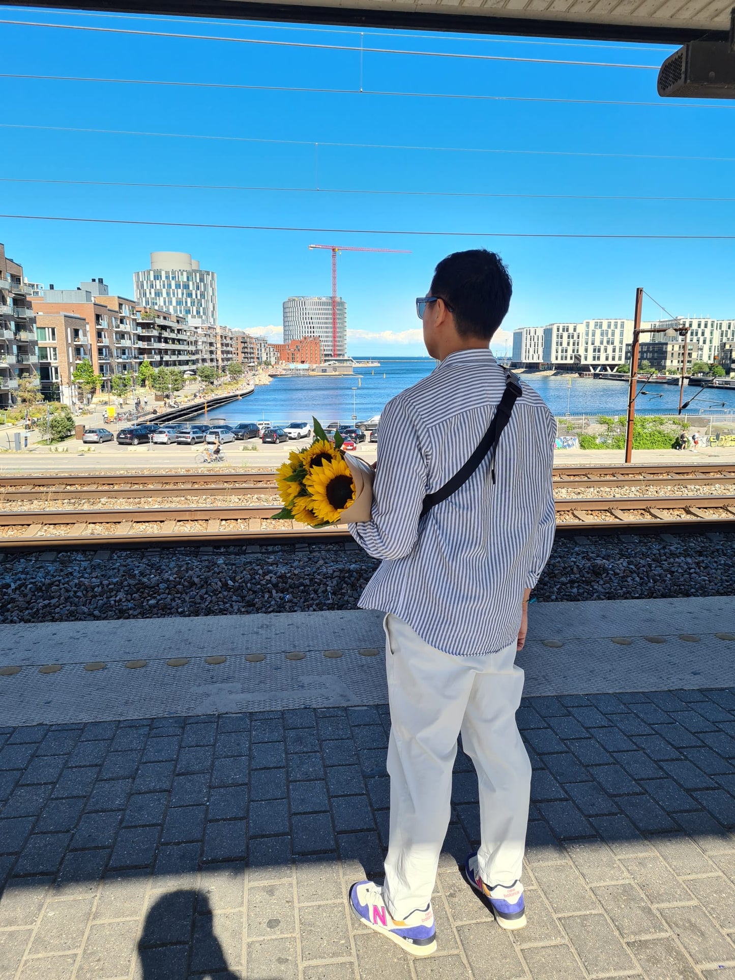 Sunflower - Chill Vibes