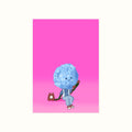 Chatty Hydrangea